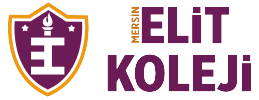 Yıldız Turizm'in İş Ortağı: Elit Koleji