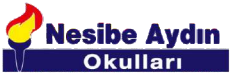 Nesibe Aydın Okulları logosu