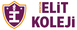 elit-koleji-okullari