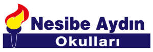 nesibe-aydin-okullari-logo